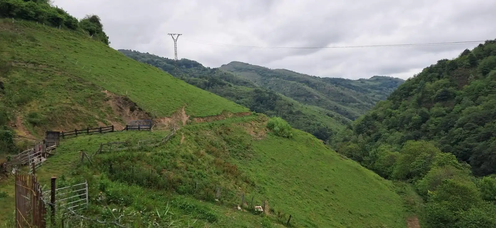 Lands and plots for sale in Lena, imagen 8
