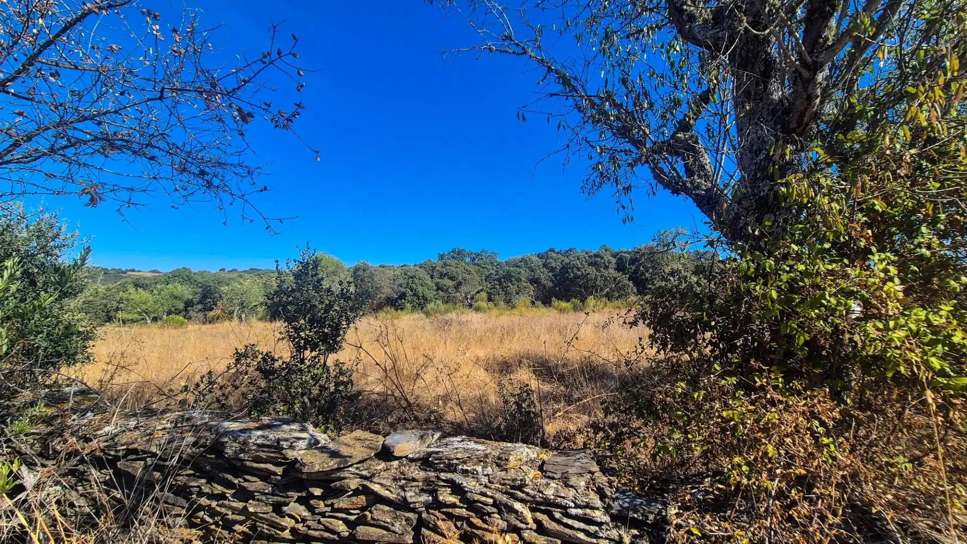 Land for sale in Ahigal de los Aceiteros, Salamanca