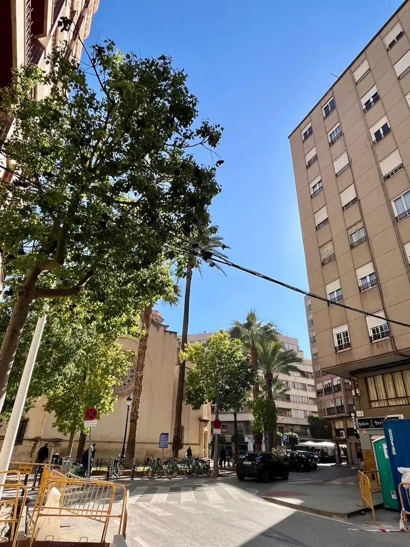 Individuel à vendre à Elche ciudad, imagen 3