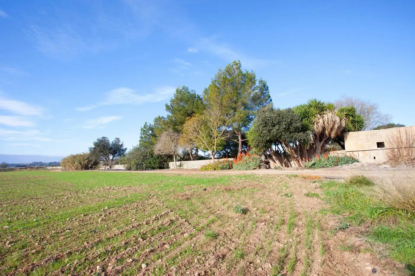 Casa rustica con piscina in vendita a Ariany, imagen 17