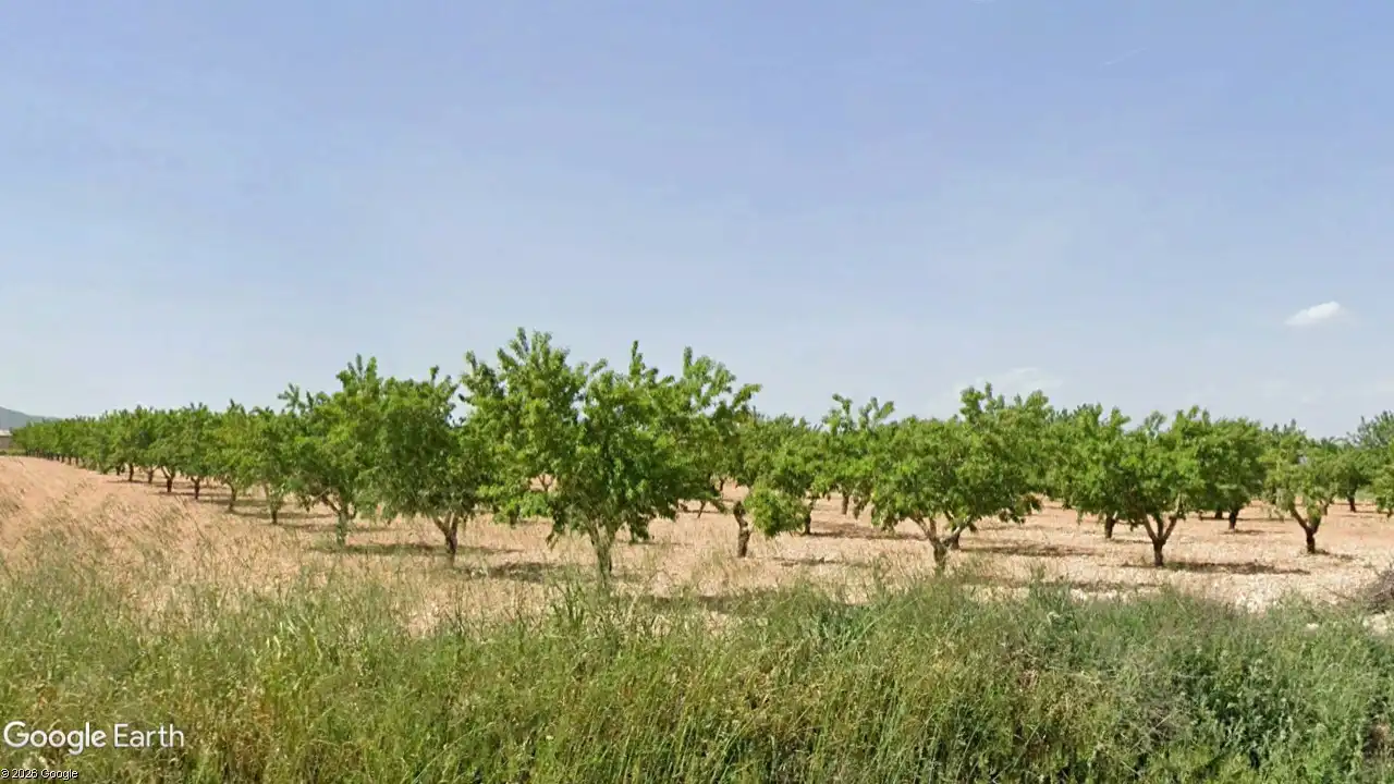 Rustikales Grundstück zum Verkauf in Travesía de la Cooperativa 17