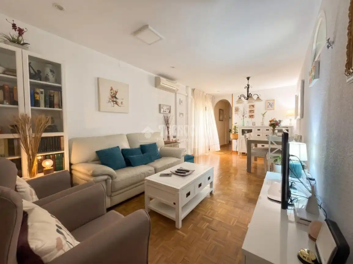 Sala d'estar de Pis en venda en Madrid amb Calefacció i Terrassa