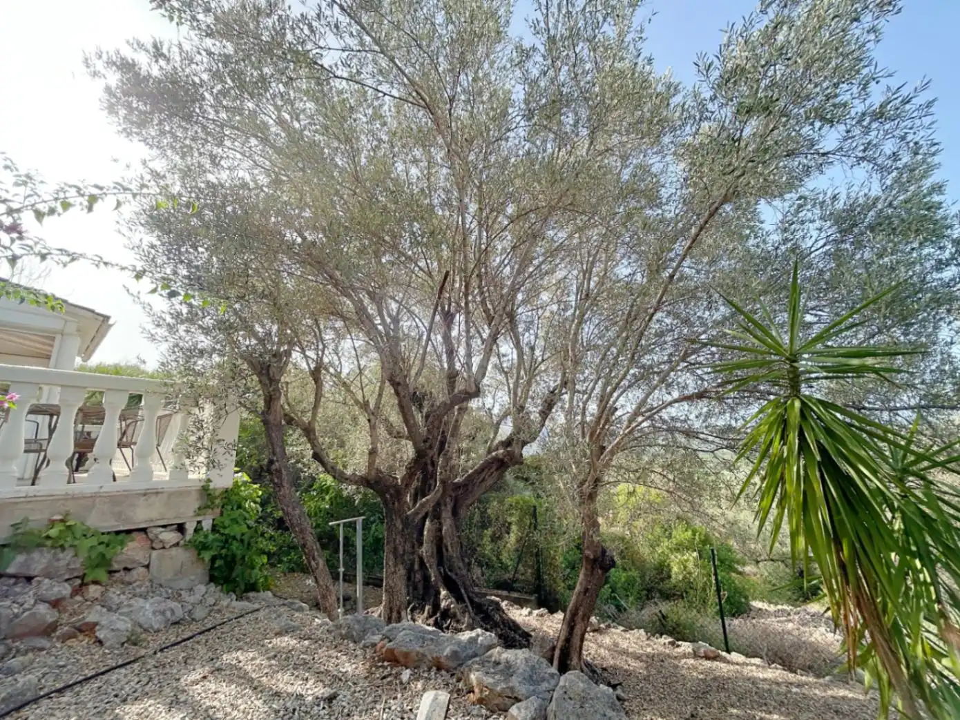Villa avec piscine à vendre à Orba, imagen 60