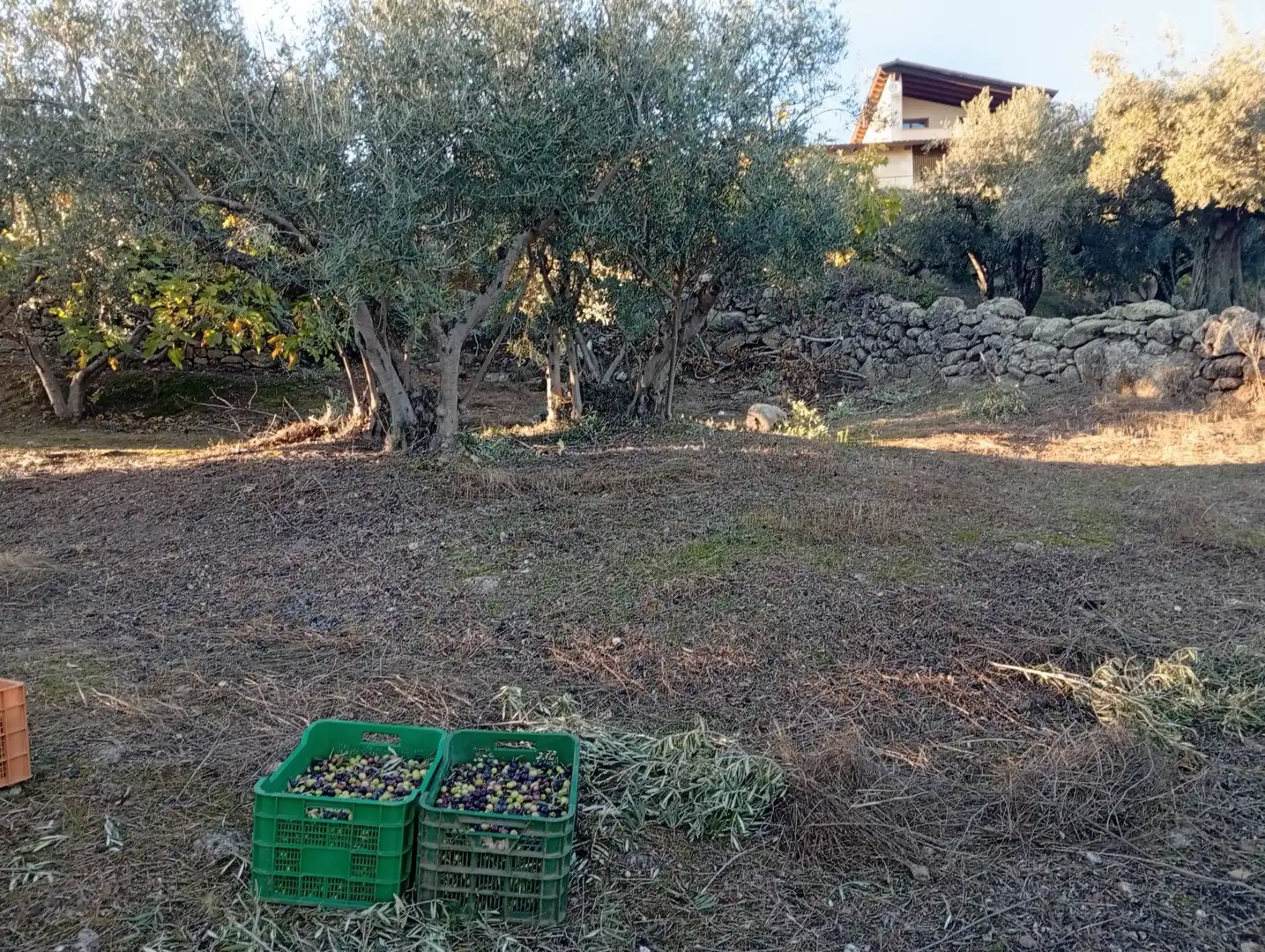 Terreni e lotti in vendita a Villanueva de la Vera, imagen 22