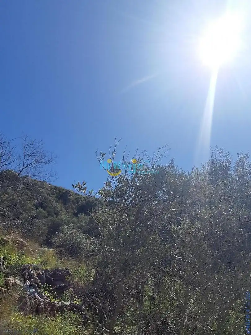 Terreni e lotti in vendita a Torrox Pueblo, imagen 22