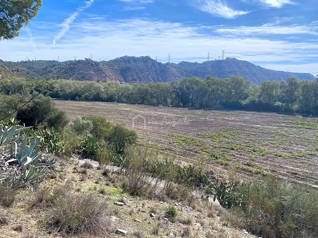 Terrain rustique à vendre à Aixalella, imagen 51