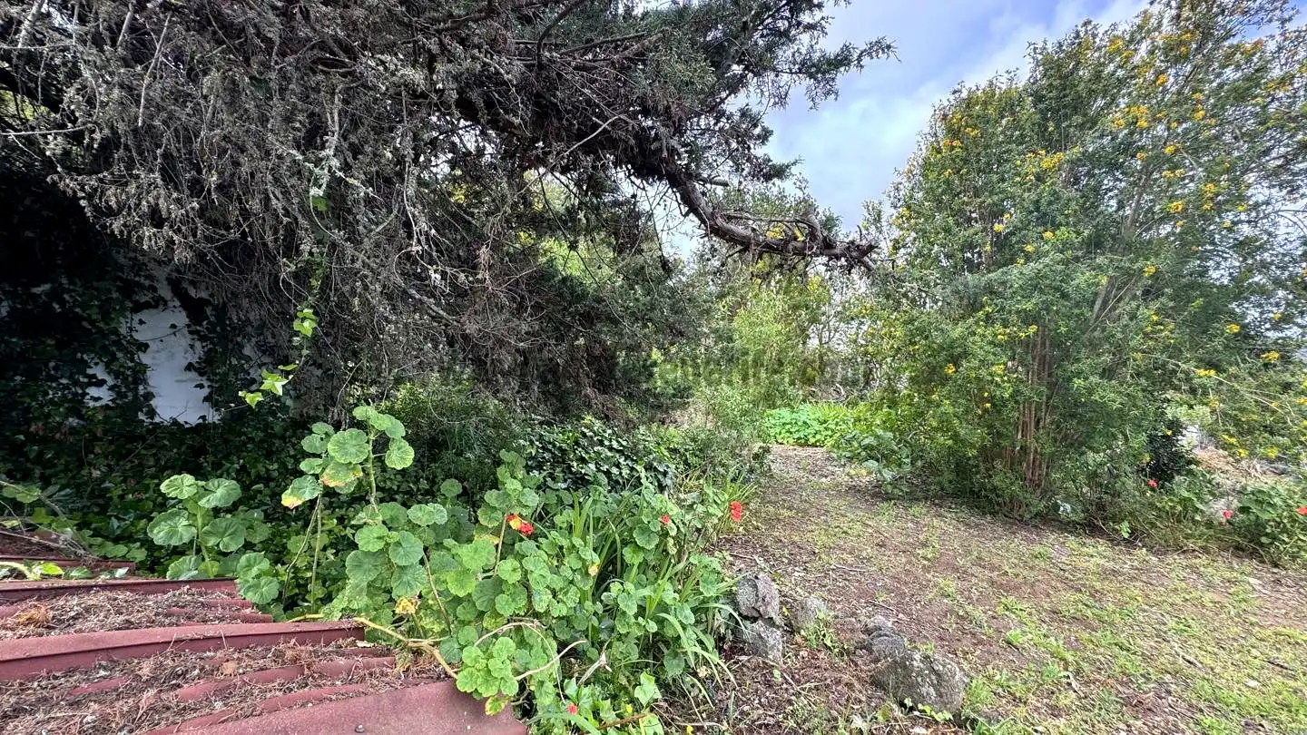 Finca rústica en venta en Icod de los Vinos con Piscina
