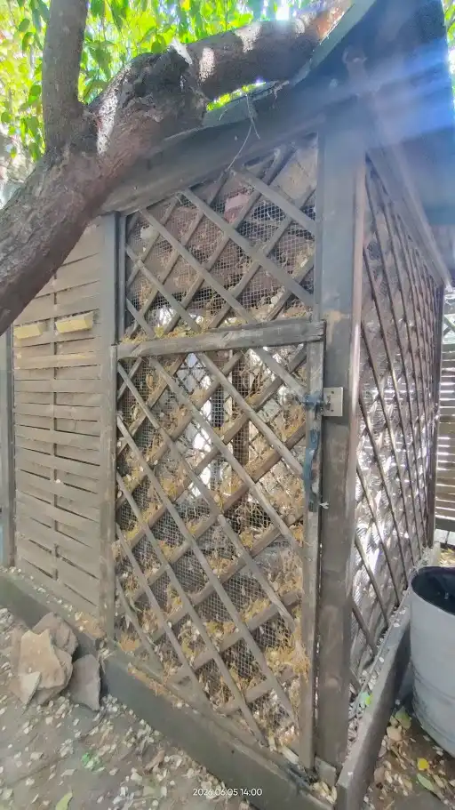 Jardí de Casa o xalet en venda en El Casar amb Calefacció, Jardí privat i Terrassa