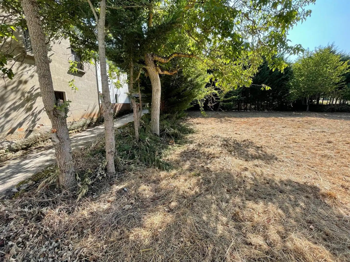 Residential for sale in Borrenes