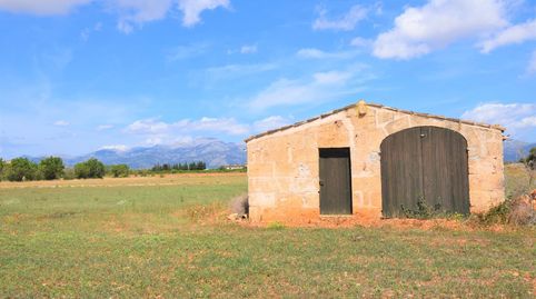Finca rústica con caseta de campo y  magnificas vistas a la Serra de Tramuntana en Llubi