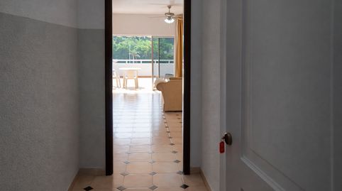 Foto 2 de Estudio en venta en San Eugenio Alto, Adeje