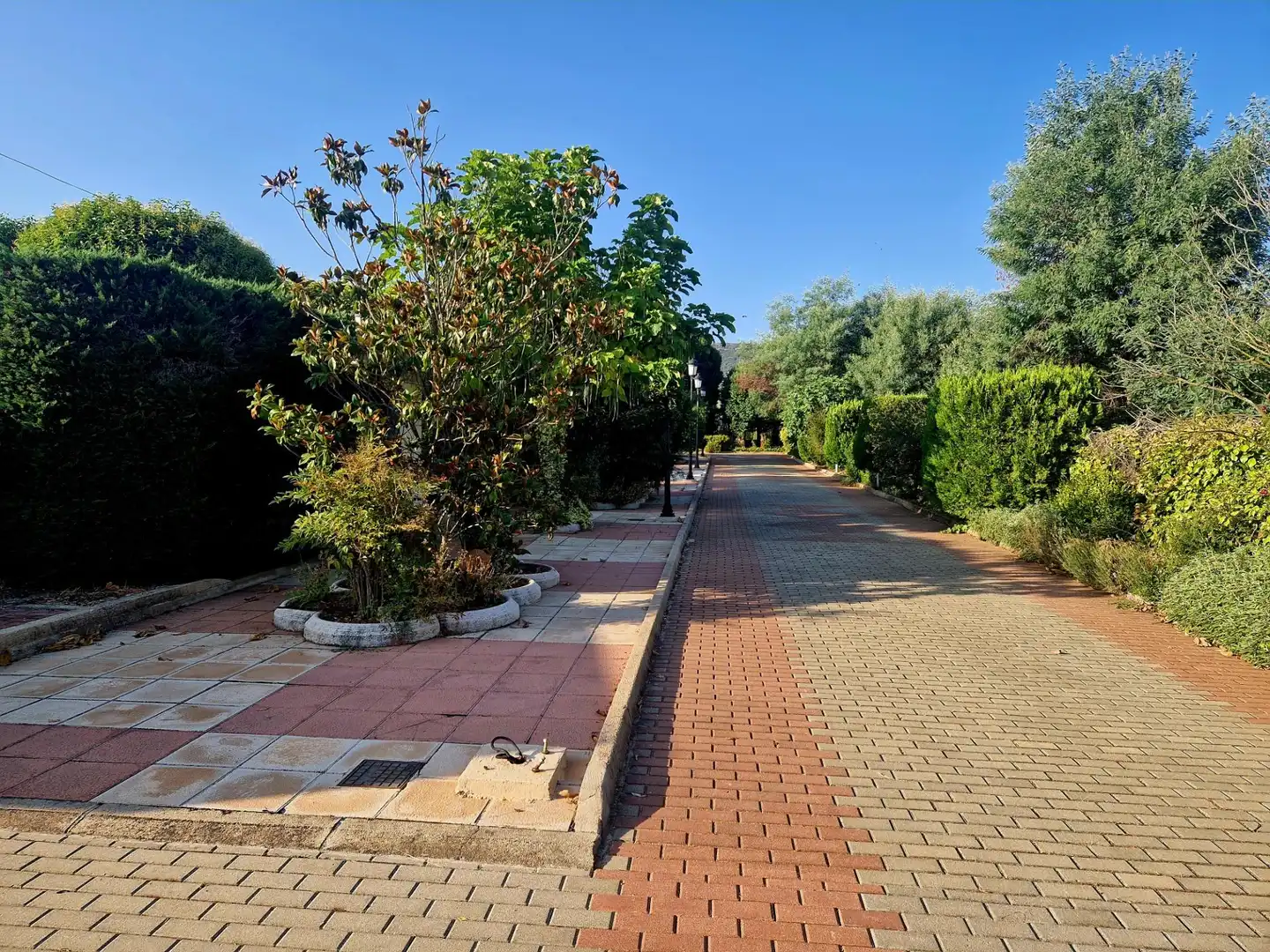 Chalet con piscina en venta en Almodóvar del Campo, imagen 61
