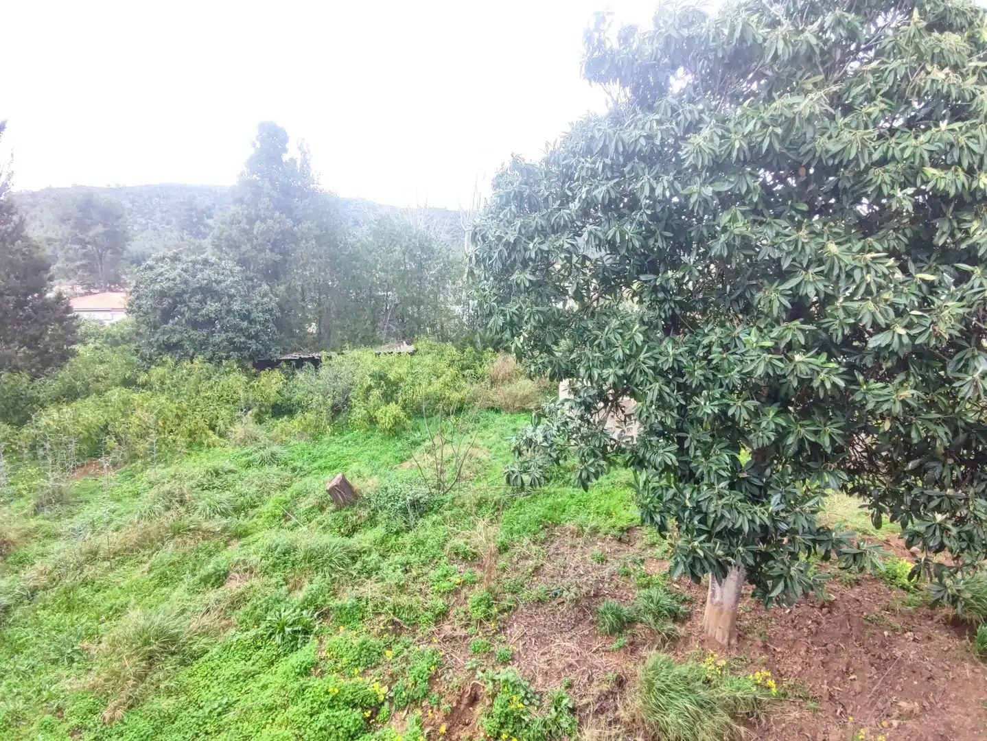 Finca rústica en venta en Alzira con Terraza y Piscina