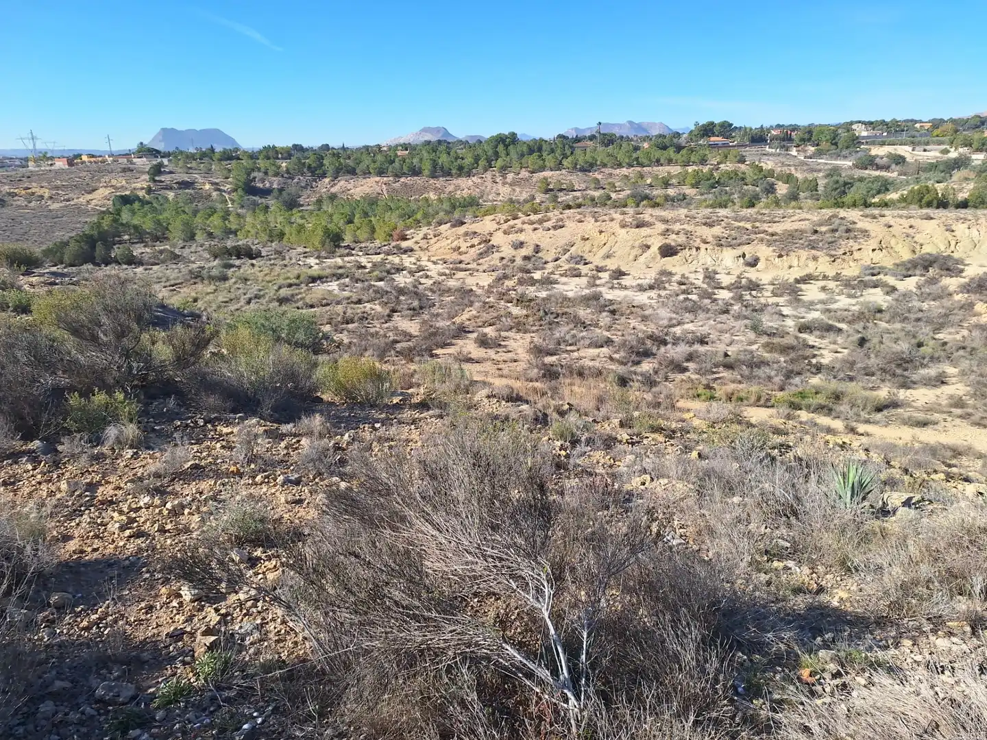 Rural land for sale in Villamontes - Boqueres, imagen 6