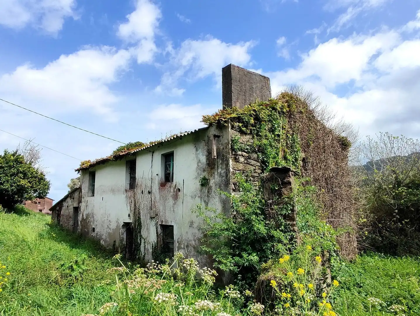 Villa avec jardin à vendre à Sumio 0