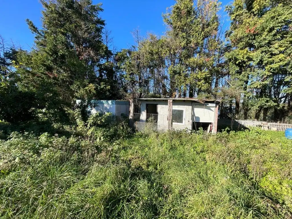 Country homes for sale in Cudón