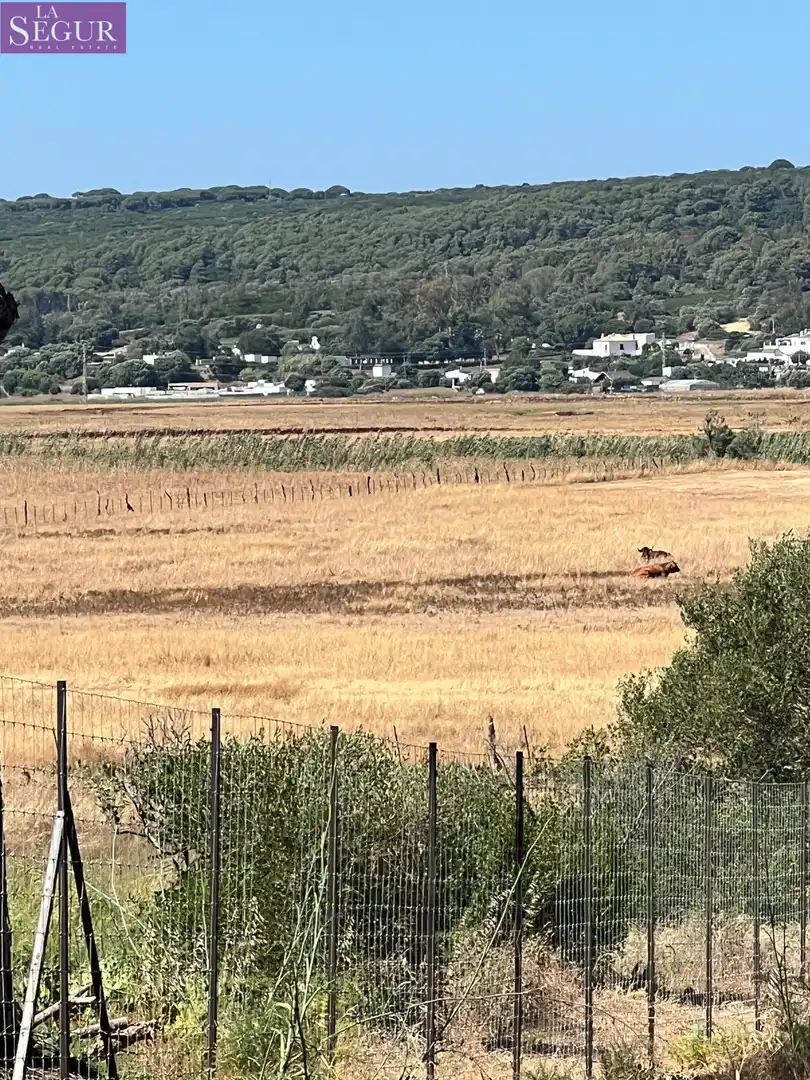 Terreno rustico in vendita a Barbate ciudad, imagen 4