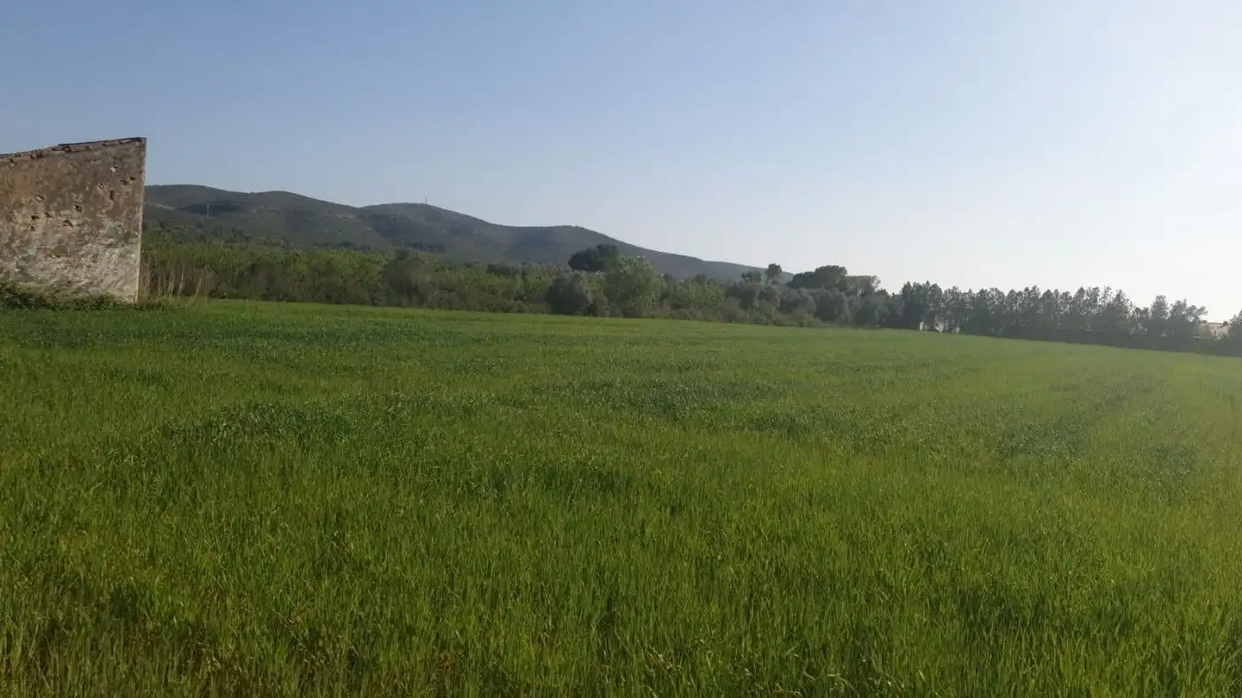 Rural land for sale in Godall