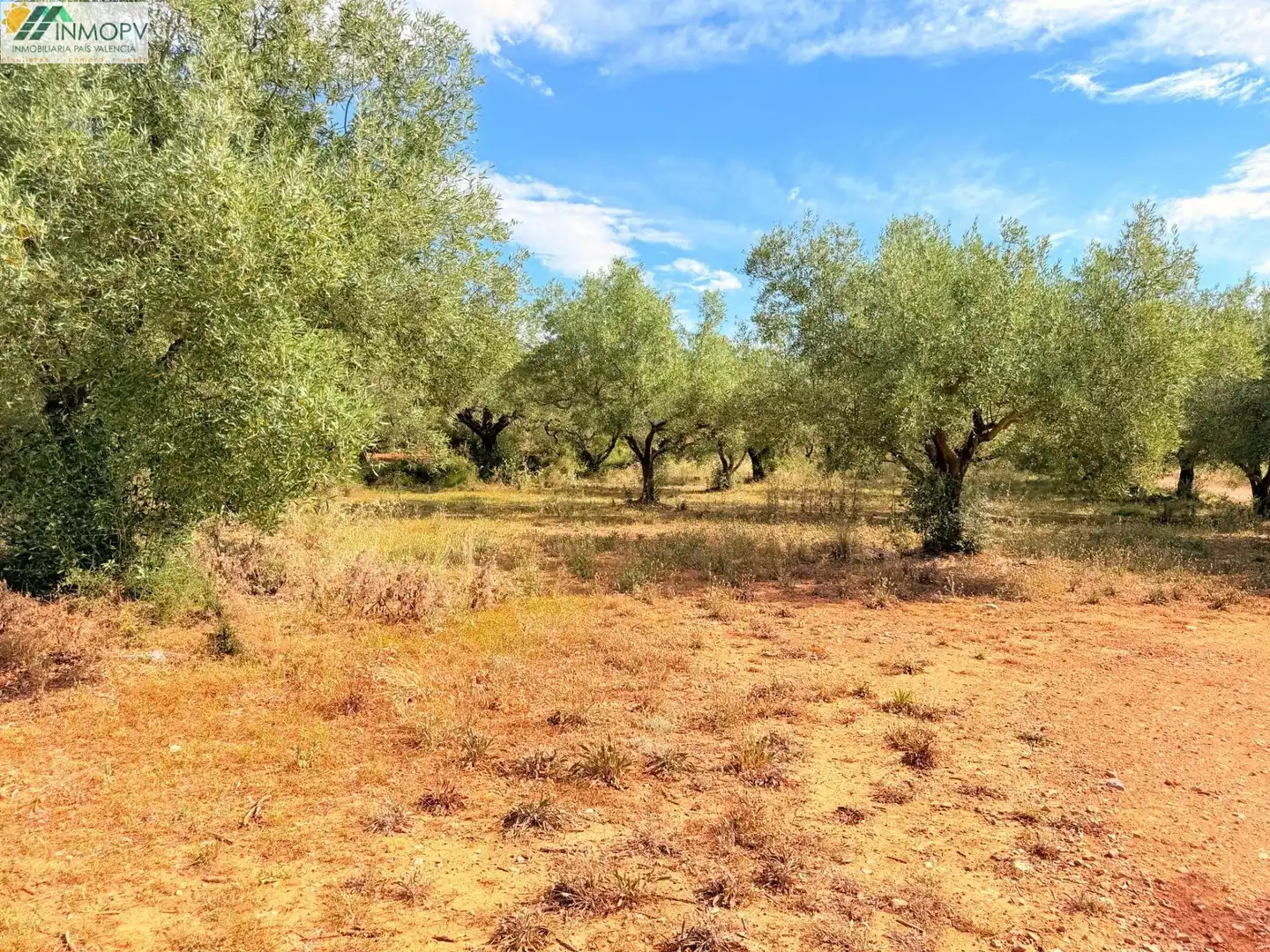 Terreny rústic en venda a Las Atalayas - Urmi - Cerro de Mar, imagen 10