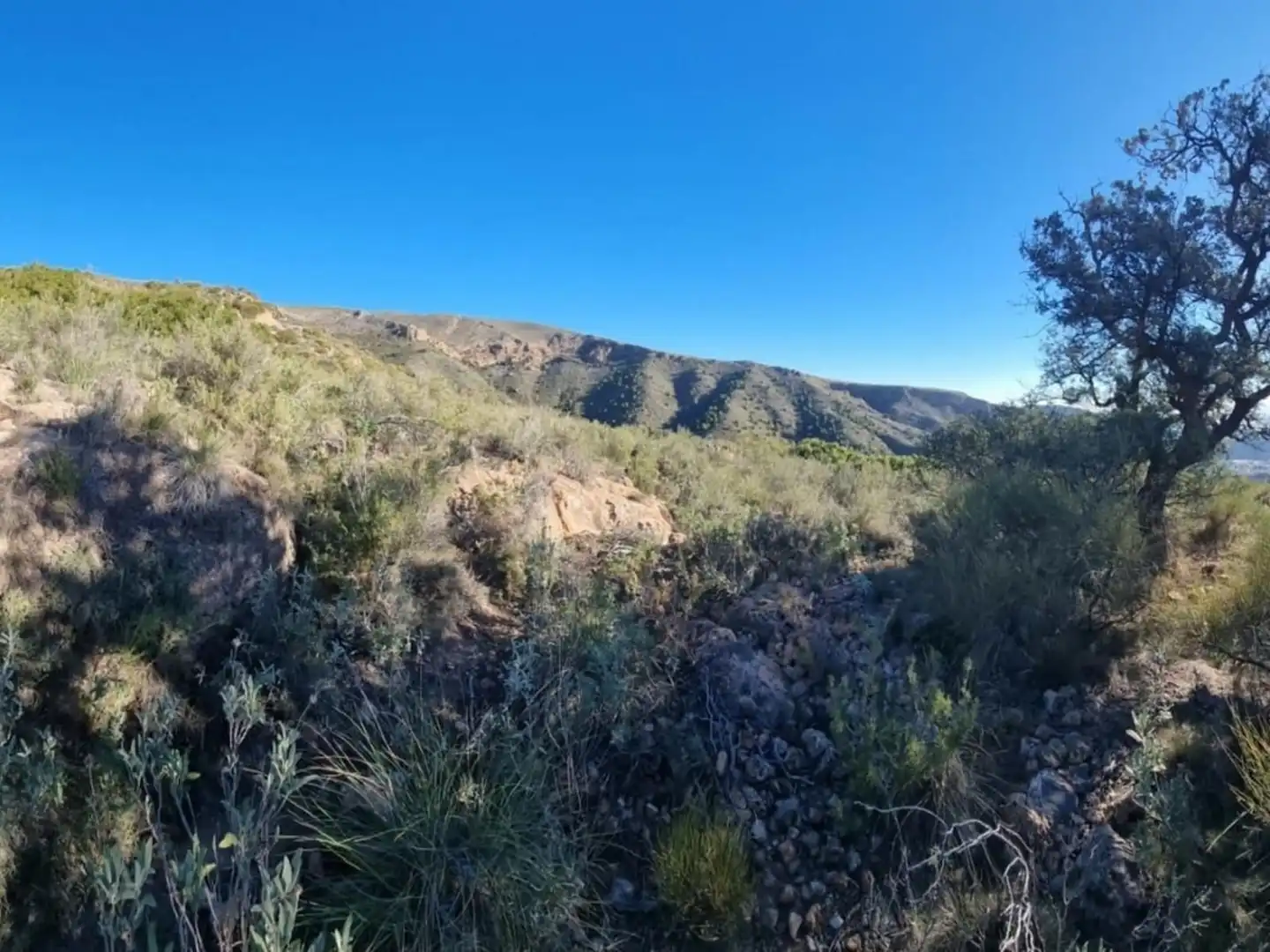 Exterior view of Land for sale in Bédar