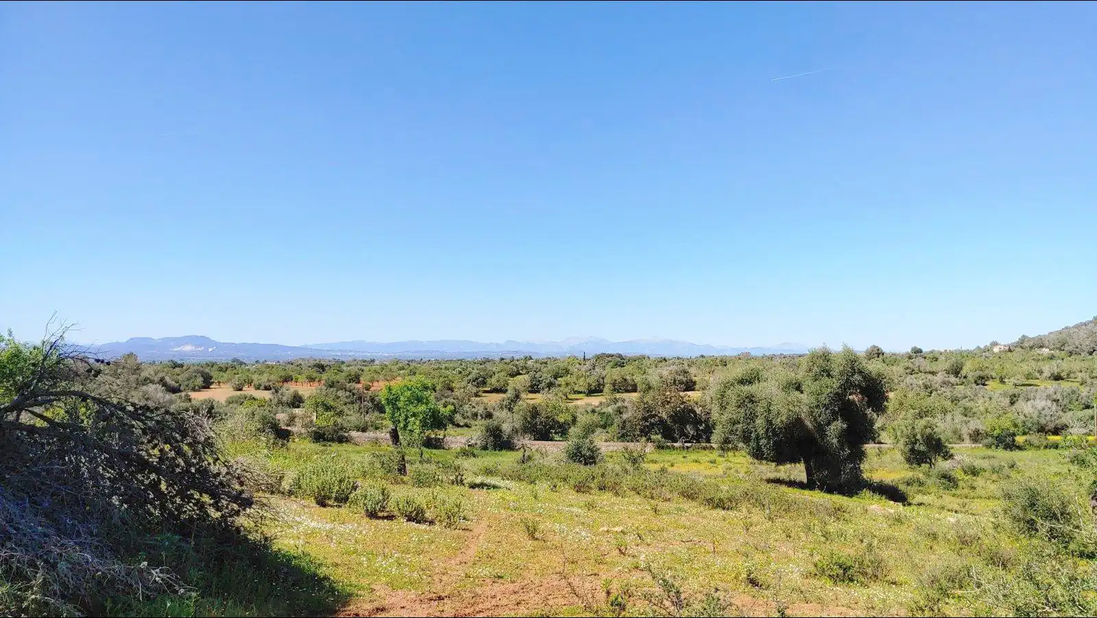 Residential land for sale in Polígono Polígono 33 Parcela 436, imagen 6