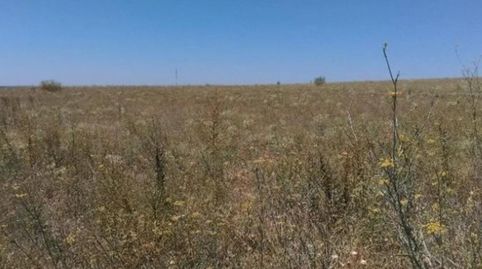 Foto 2 de Residencial en venta en Calle la Lobata, San José Obrero, Zamora Capital