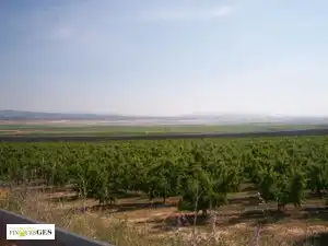 Residential land for sale in Algerri, imagen 3