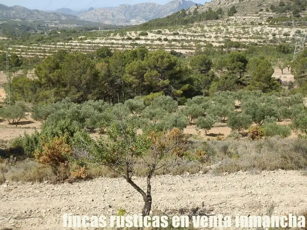 Terreny rústic en venda a Jijona / Xixona, imagen 3