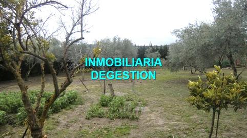Photo 4 of House or chalet for sale in San Roque - La Cruz - La Rozuela, Linares