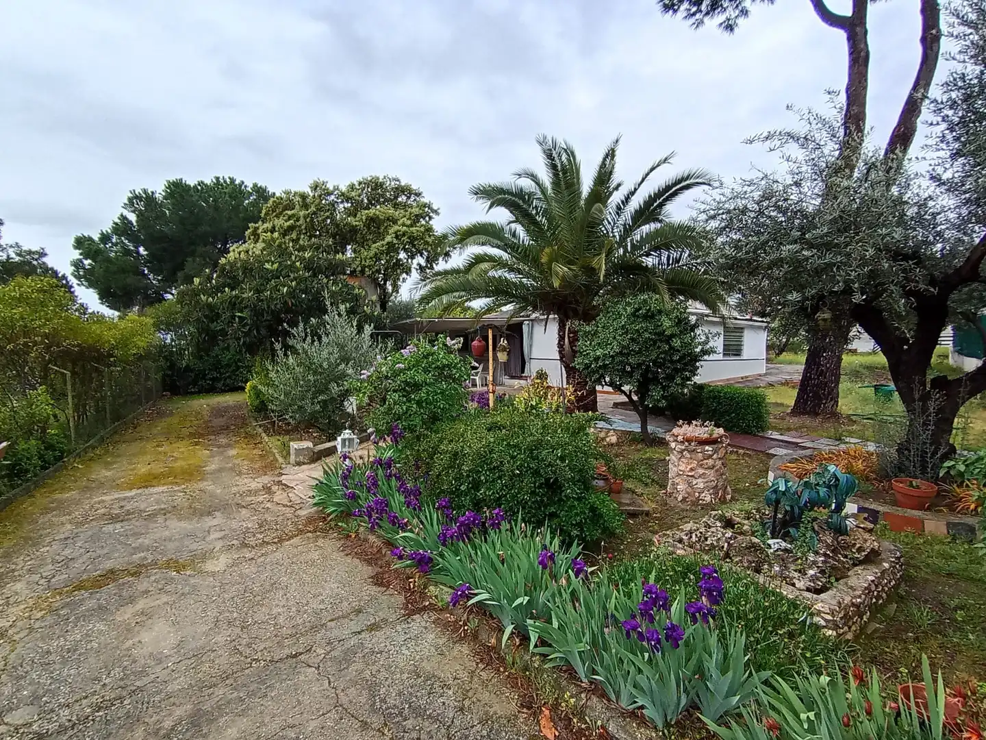 Jardín de Casa o chalet en venta en Quijorna con Calefacción, Jardín privado y Trastero