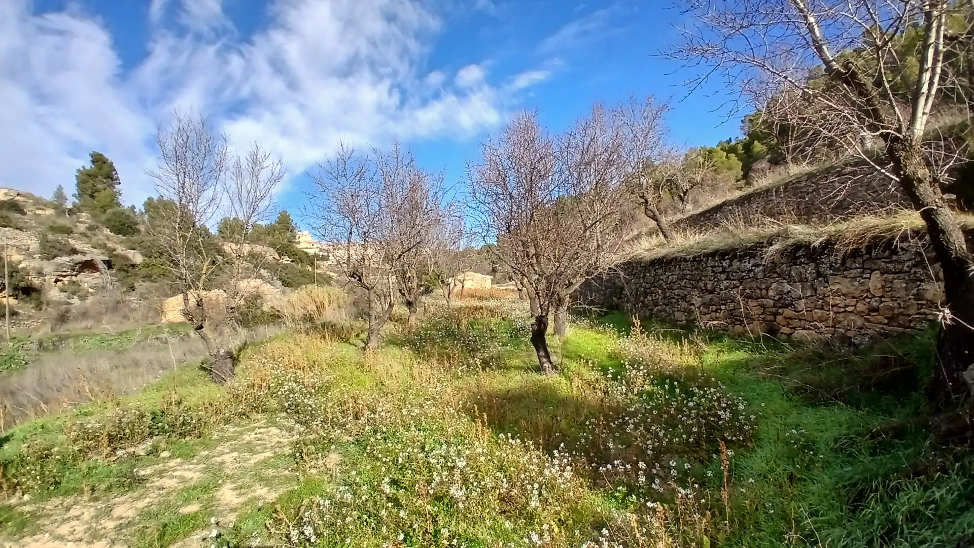 Terreni e lotti in vendita a Camino Fuente 5, imagen 9
