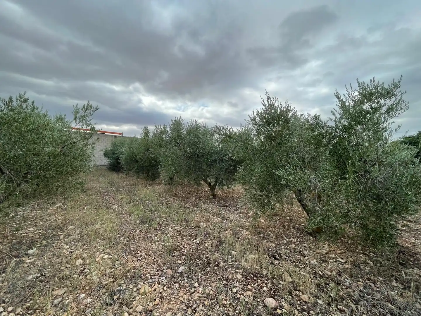 Terreni e lotti in vendita a santa catalina, imagen 5