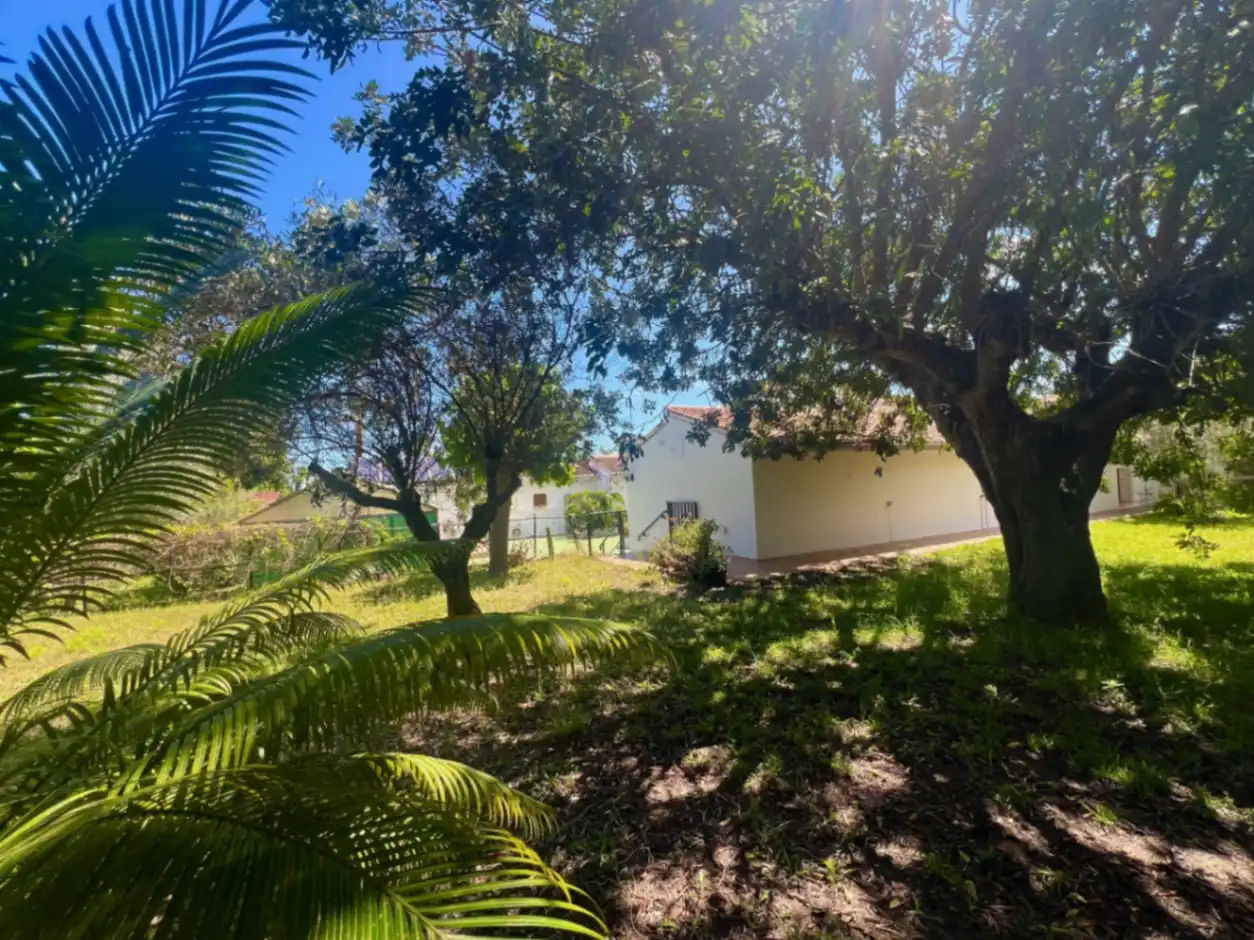 Exterior view of Country homes for sale in Pedreguer  with Air Conditioner, Terrace and Swimming Pool