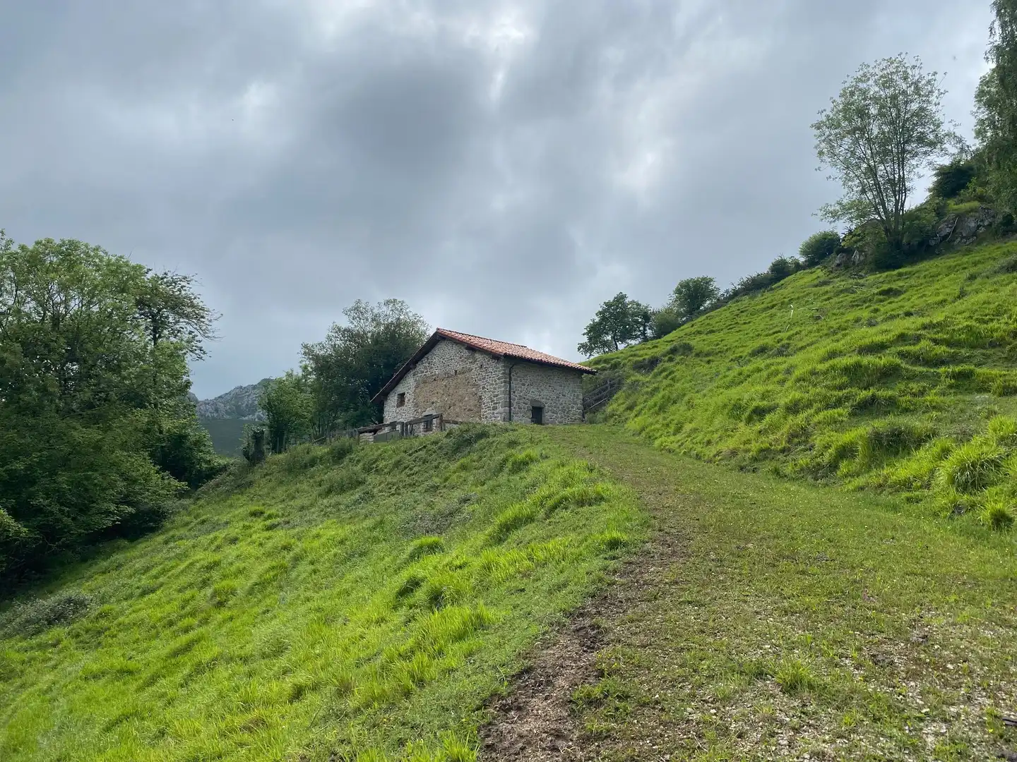 Land for sale in La Molina, Cabrales
