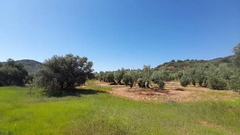 Terreni e lotti in vendita a Calle Polg. Sorihuela del Guadal, imagen 6