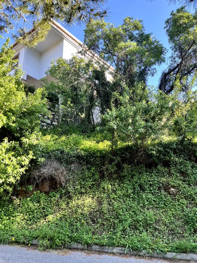 Terreni e lotti in vendita a Monte los Almendros - El Pargo - Costa Aguilera, imagen 5
