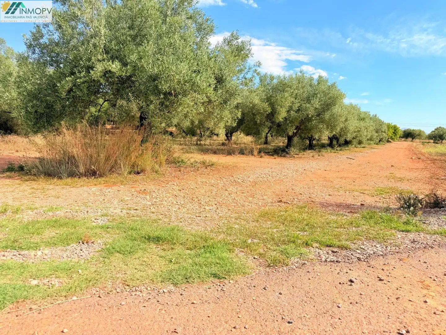 Terreny rústic en venda a Las Atalayas - Urmi - Cerro de Mar, imagen 4