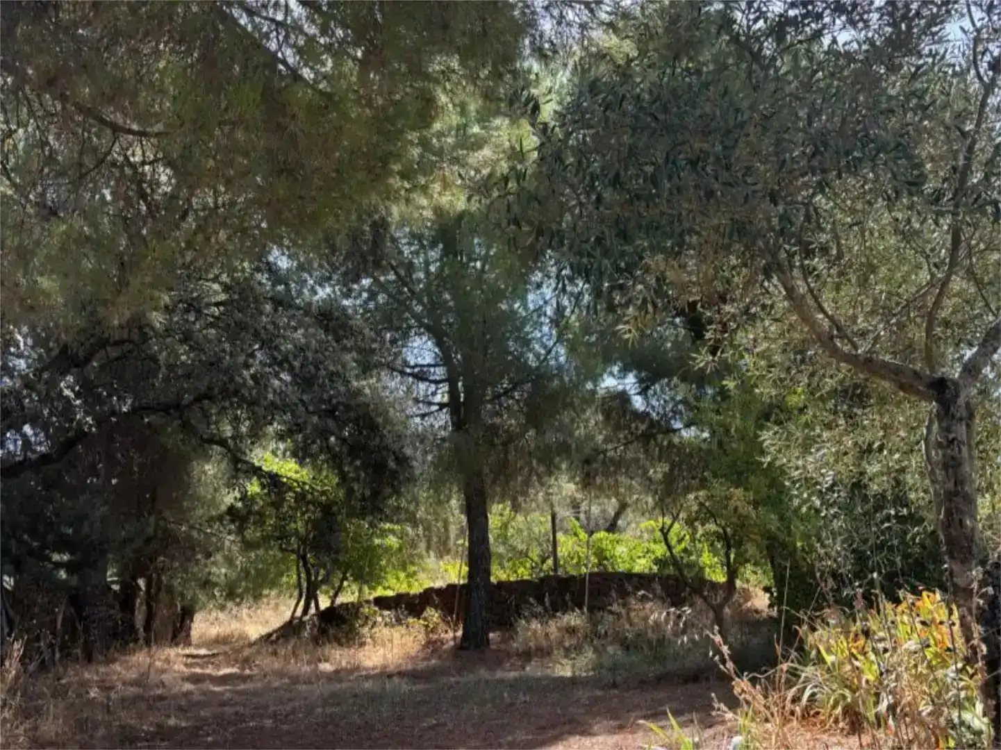 Finca rústica en venda en Madroñera amb Jardí privat, Piscina i Moblat