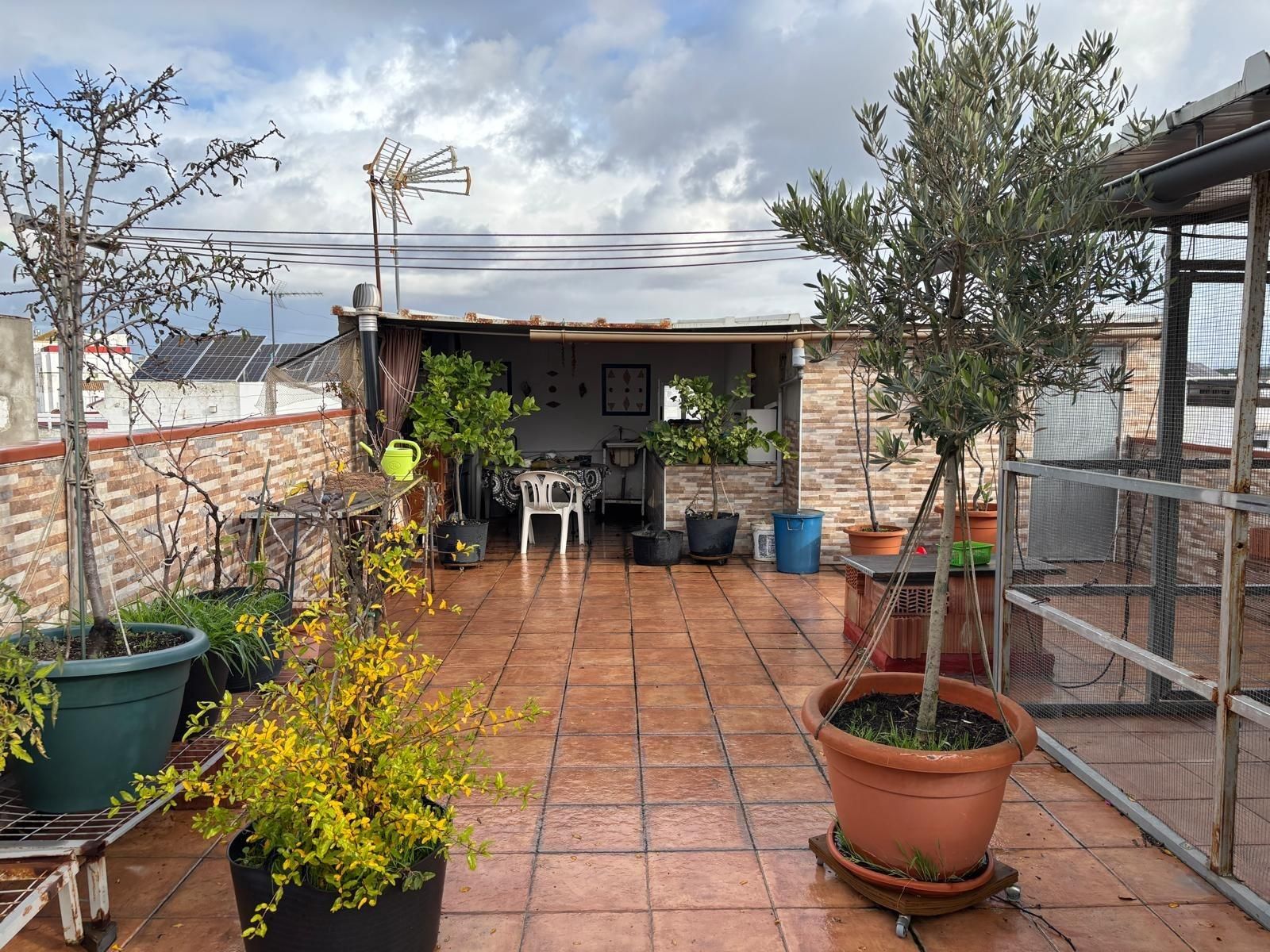 Terrace of House or chalet for sale in Barbate  with Terrace and Storage room