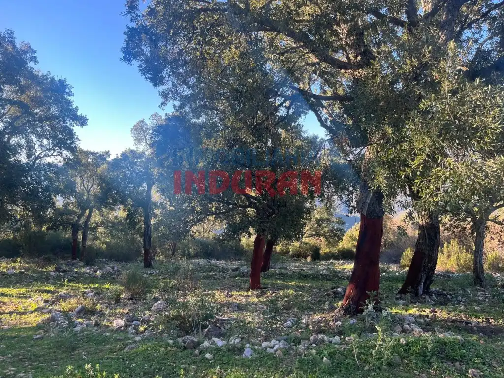 Country house for sale in Plaza De España, imagen 2