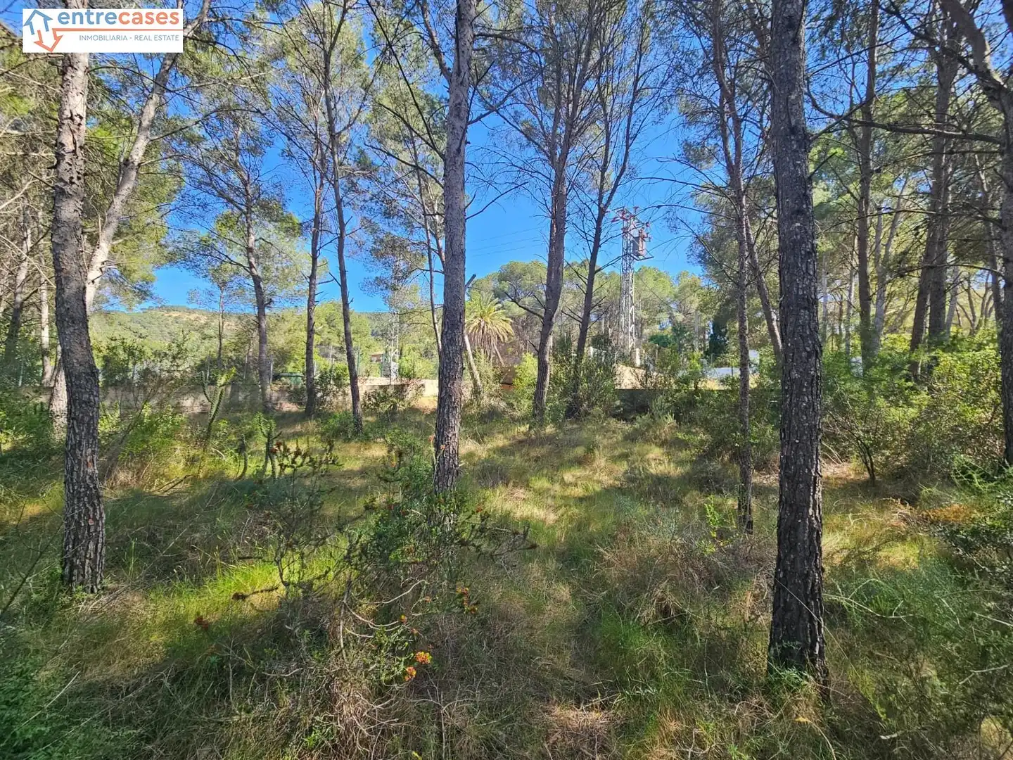 Residential land for sale in Gilet, imagen 9