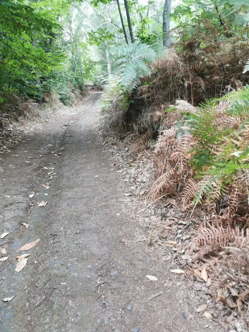 Außenansicht von Grundstücke zum Verkauf in Santa Úrsula
