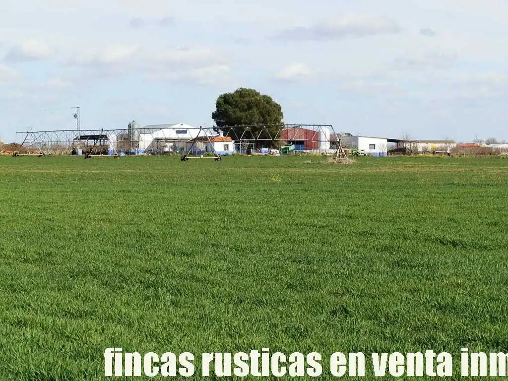 Terreny rústic en venda a Manzanares, imagen 2