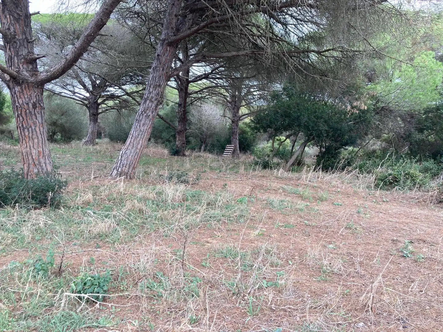 Grundstücke und Bauplätze zum Verkauf in Vejer, imagen 9