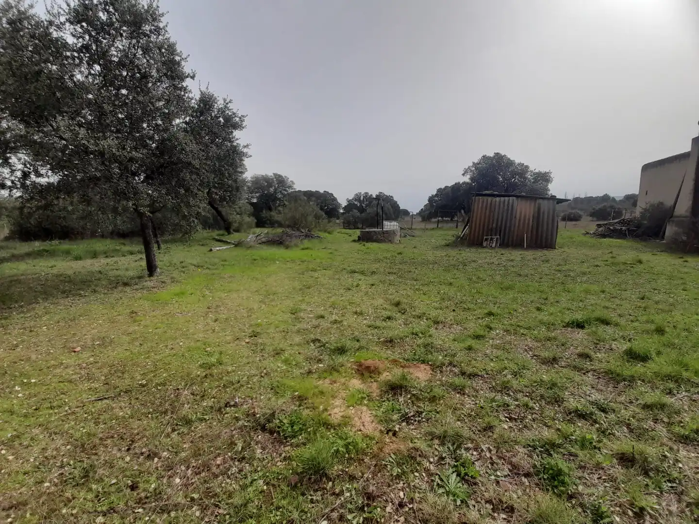 Finca rústica en venta en Brazatortas con Trastero y Piscina