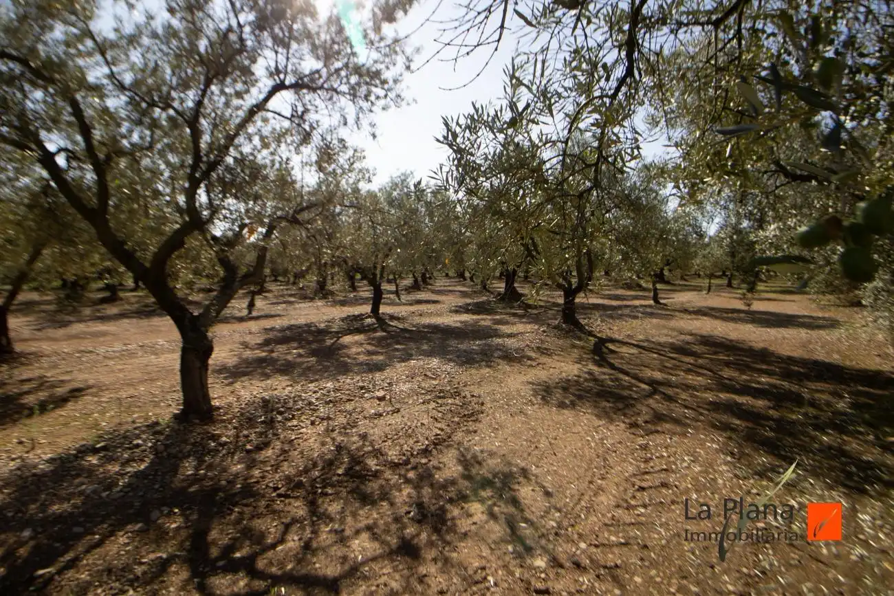 Terreno rustico in vendita a Santa Bàrbara, imagen 11