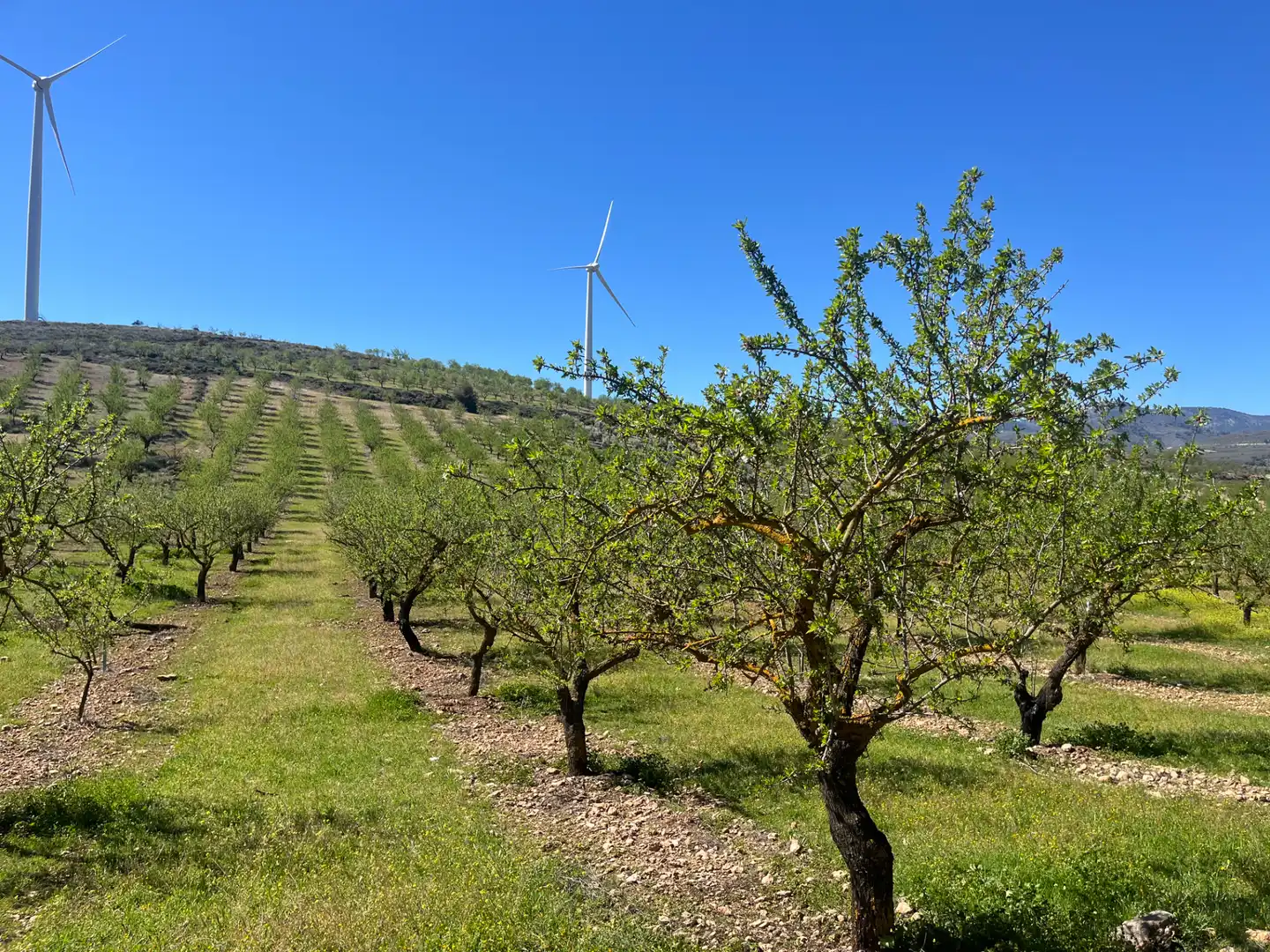 Rustikales Grundstück zum Verkauf in Camino de la Sierra, imagen 7