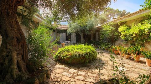 Foto 3 de Casa o xalet en venda a Divina Pastora - La Yeguada, Jerez de la Frontera
