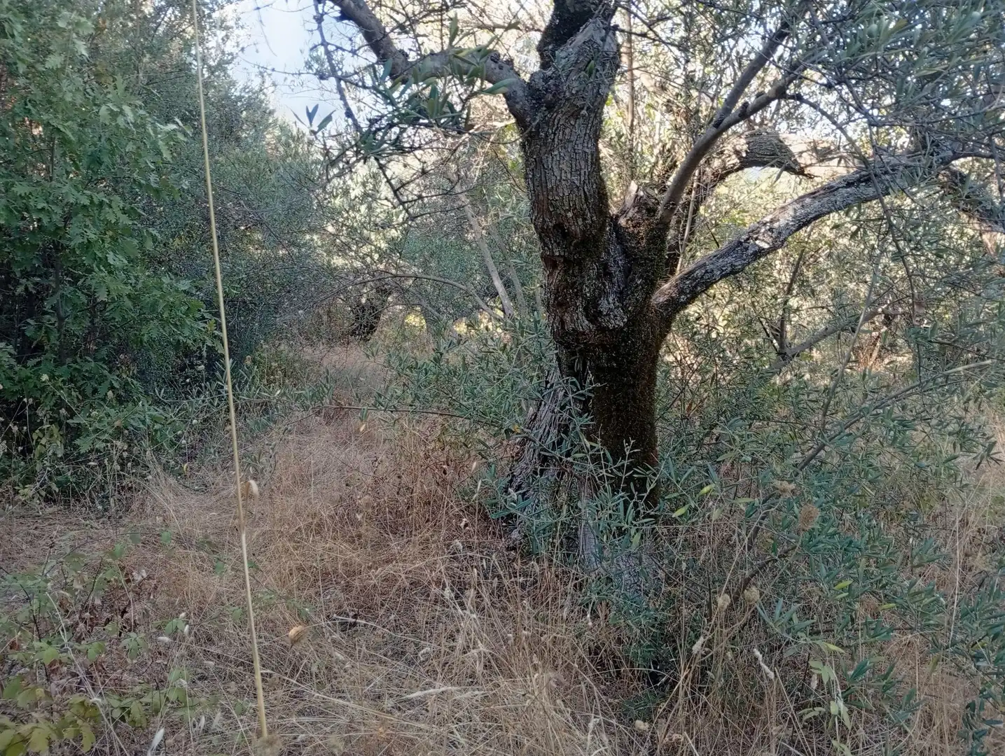 Terreni e lotti in vendita a Villanueva de la Vera, imagen 18