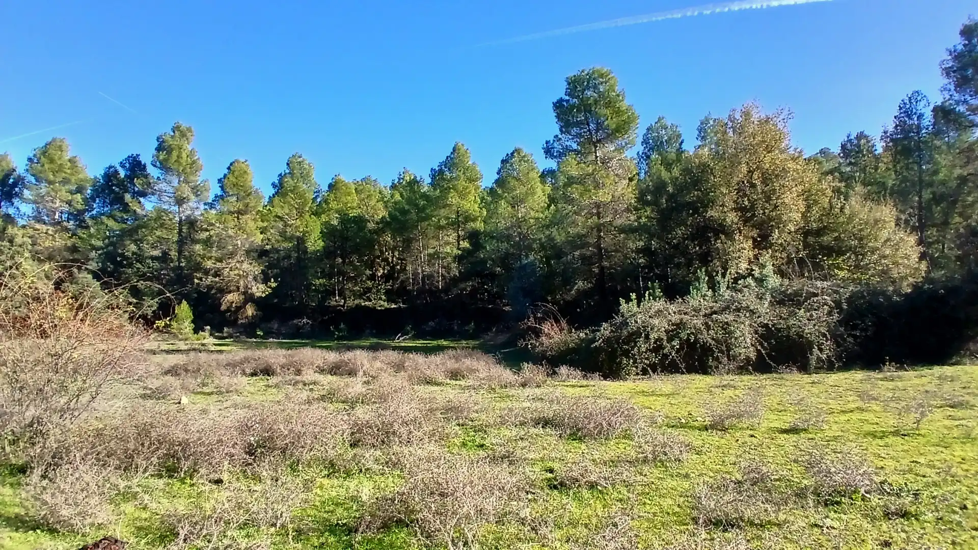 Terreno rustico in vendita a Calle Tremedal 13, imagen 16